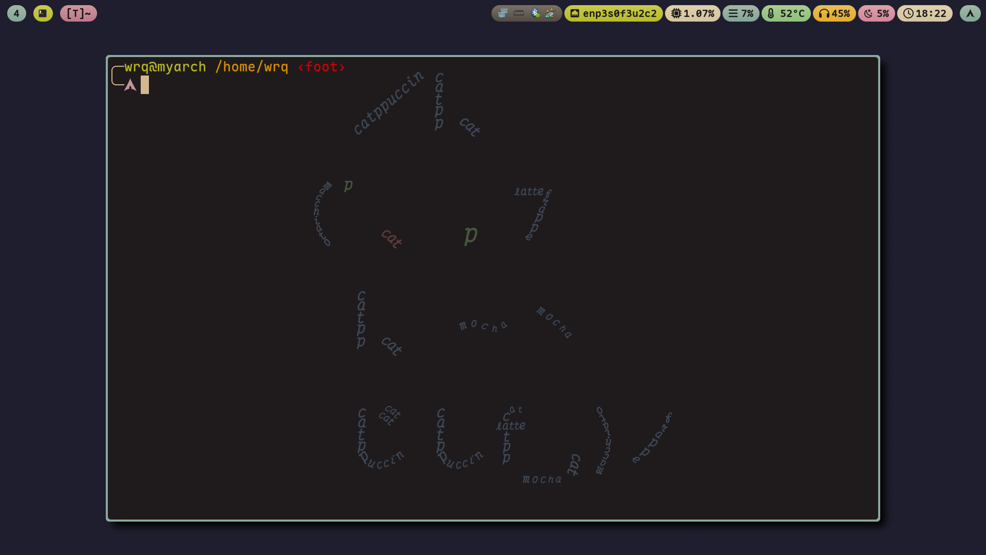 DreamMaoMao's desktop